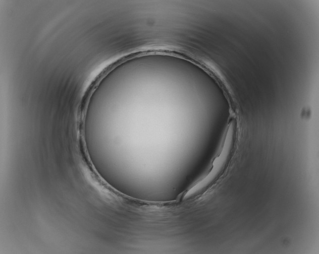 X0000110971124200906191329