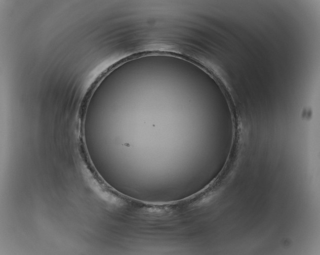 X0000110971125200906191329