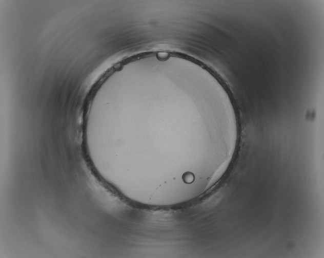 X0000110971126200906191329