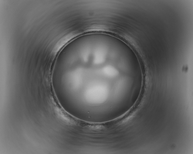 X0000110971129200906191329