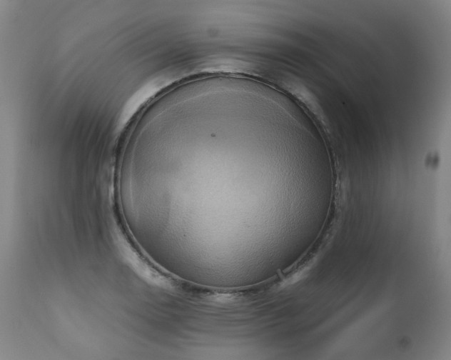 X0000110971130200906191329