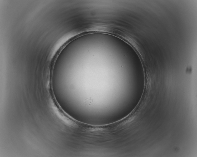 X0000110971131200906191329