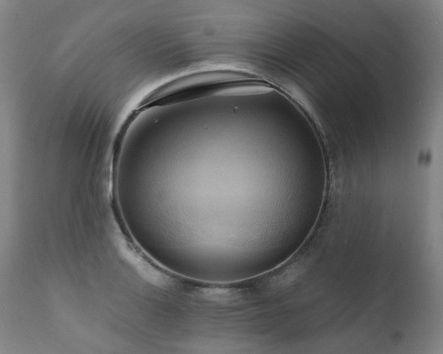 X0000110971132200906191329