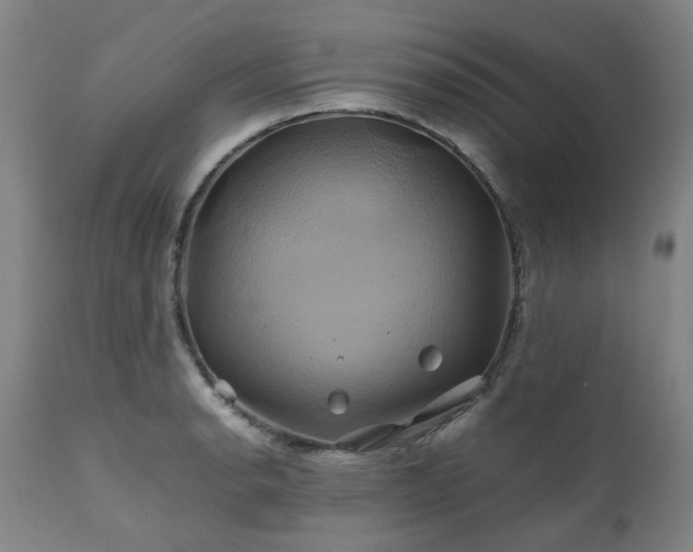 X0000110971134200906191329