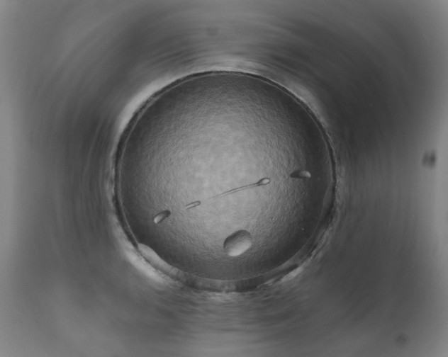 X0000110971136200906191329