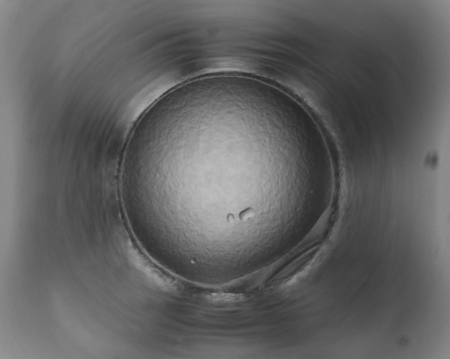 X0000110971137200906191329