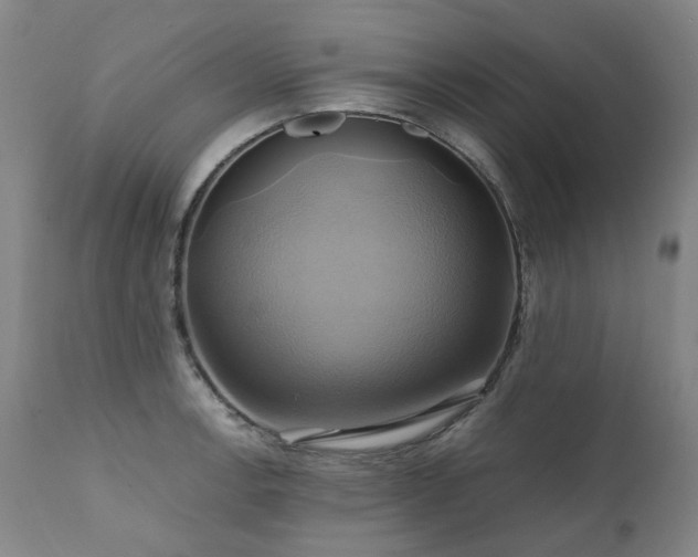 X0000110971138200906191329