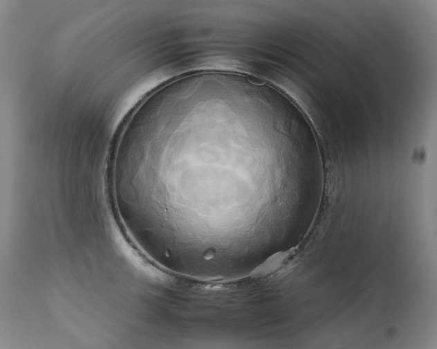 X0000110971139200906191329