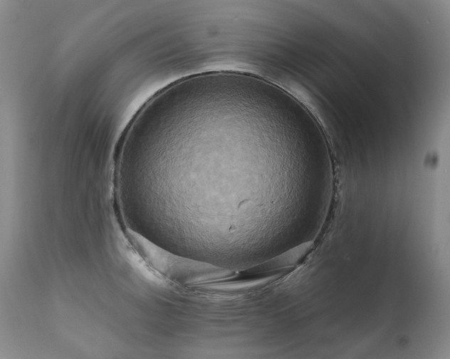 X0000110971140200906191329