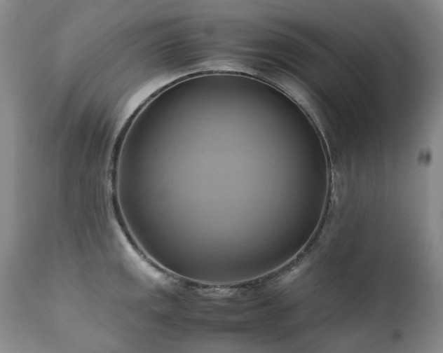 X0000110971141200906191329