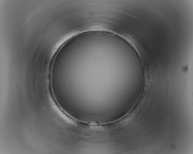 X0000110971142200906191329