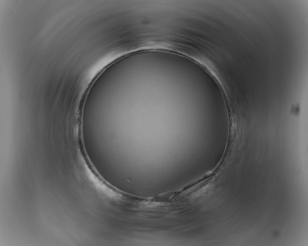 X0000110971143200906191329