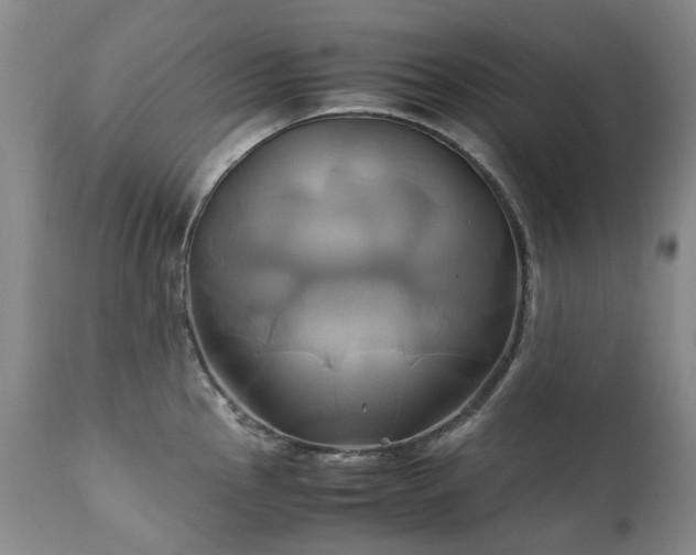 X0000110971145200906191329