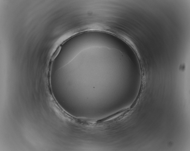 X0000110971146200906191329