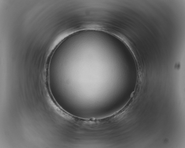 X0000110971147200906191329