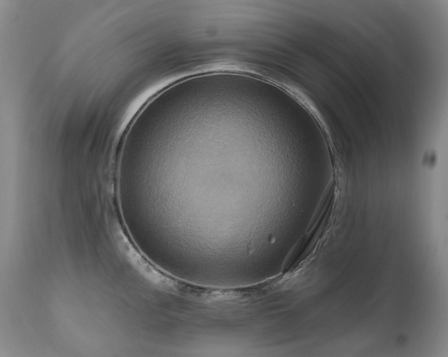 X0000110971148200906191329