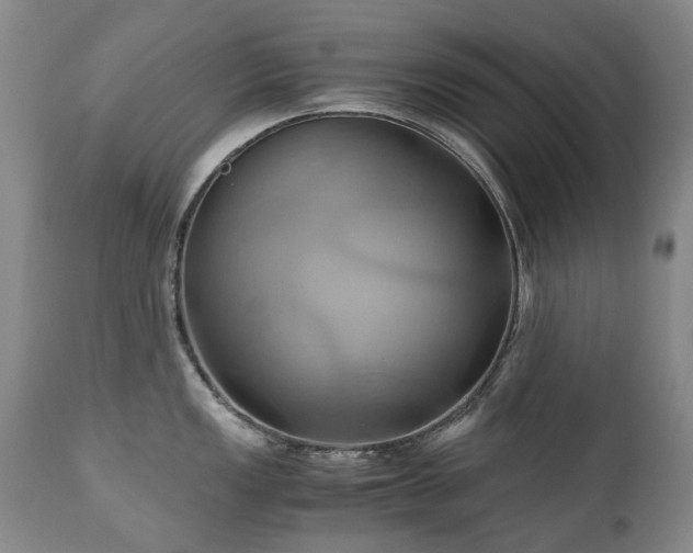 X0000110971149200906191329