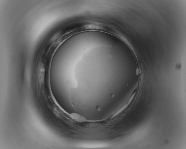 X0000110971151200906191329