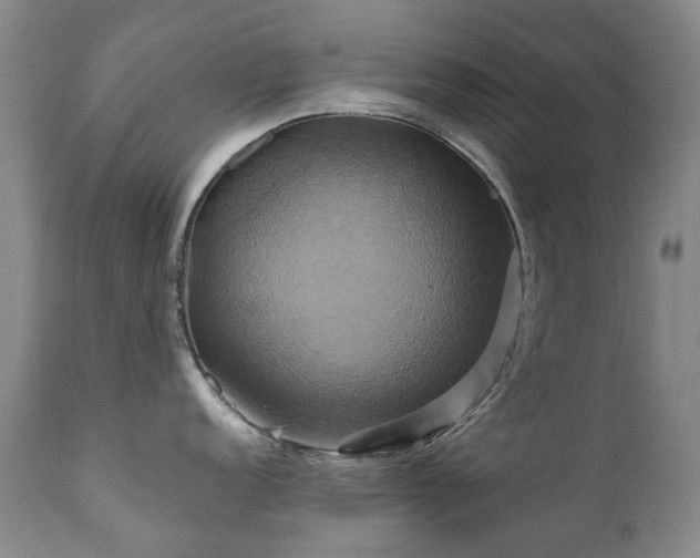 X0000110971152200906191329