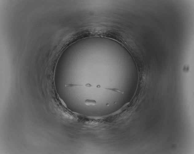 X0000110971153200906191329