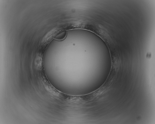 X0000110971154200906191329