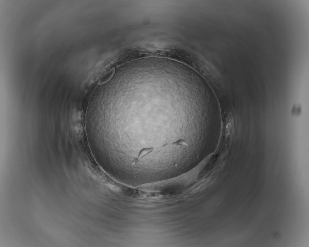 X0000110971156200906191329