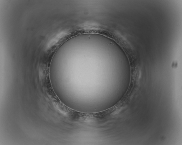 X0000110971157200906191329