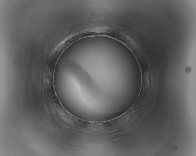 X0000110971158200906191328