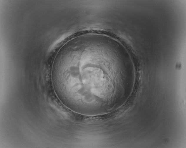 X0000110971159200906191328