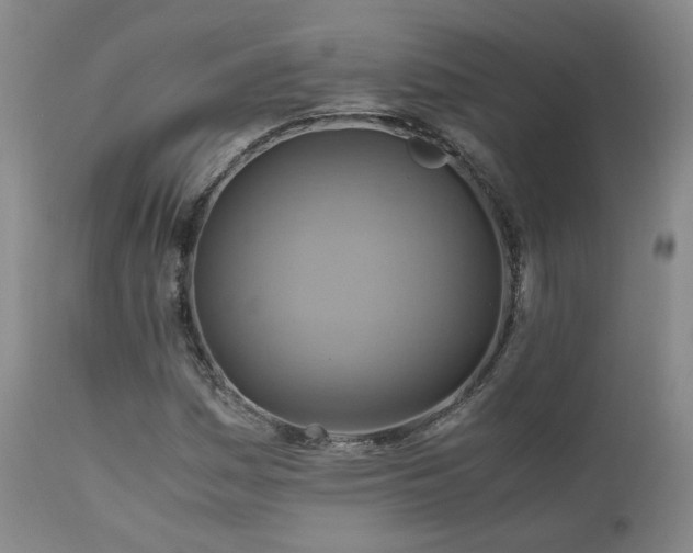 X0000110971161200906191328