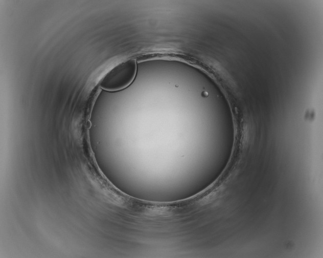 X0000110971162200906191328