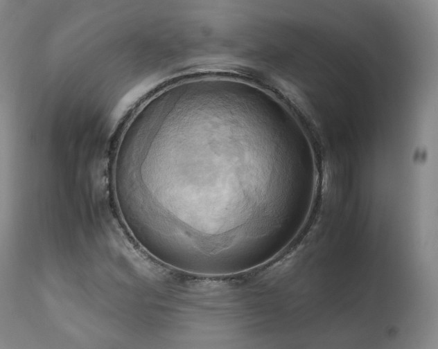 X0000110971164200906191328