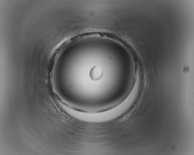 X0000110971165200906191328