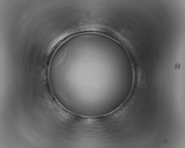 X0000110971166200906191328