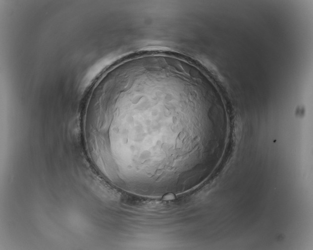 X0000110971167200906191328