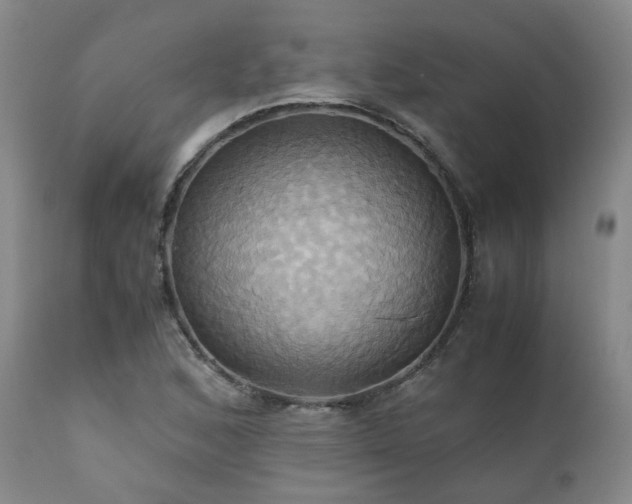 X0000110971168200906191328