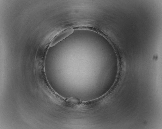 X0000110971169200906191328