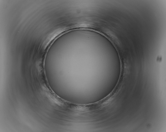 X0000110971170200906191328