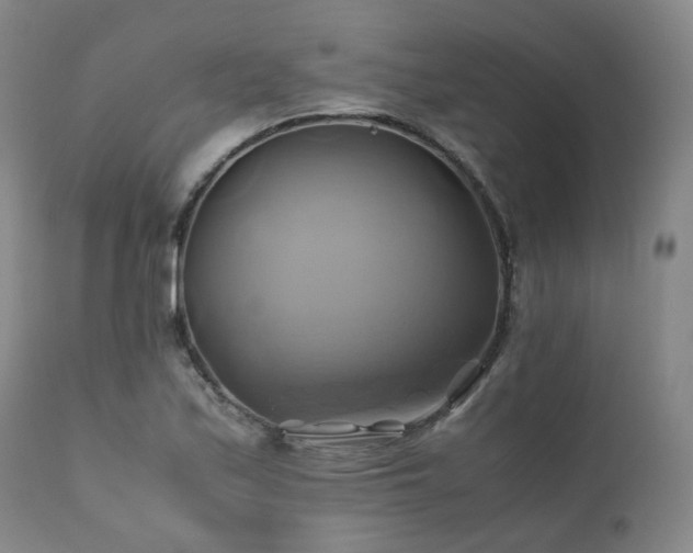 X0000110971171200906191328