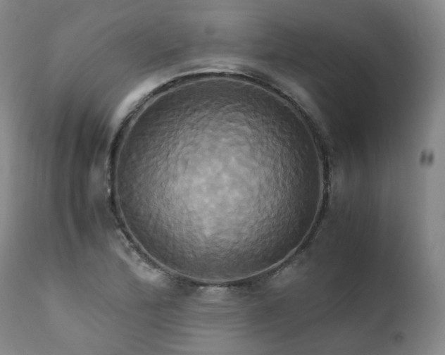 X0000110971172200906191328