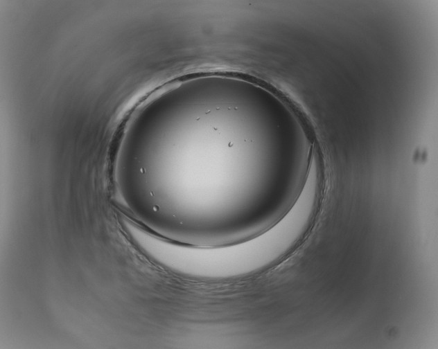 X0000110971173200906191328