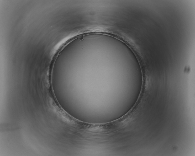 X0000110971174200906191328