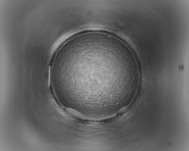 X0000110971175200906191328