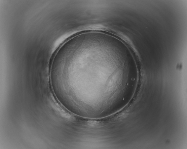 X0000110971176200906191328