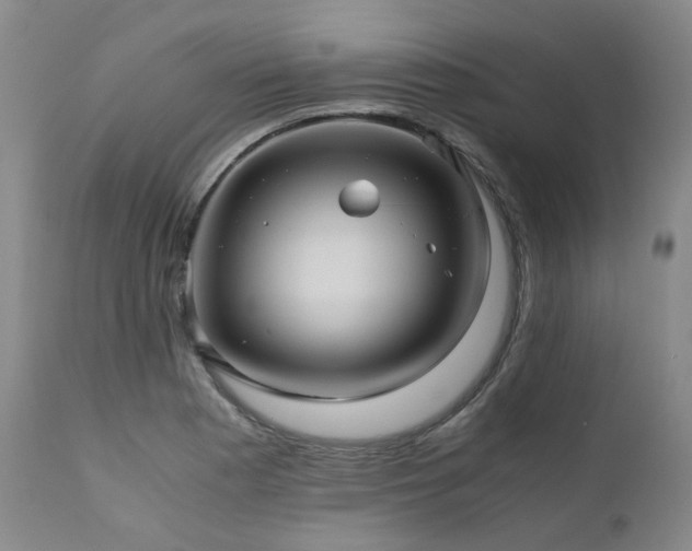 X0000110971177200906191328