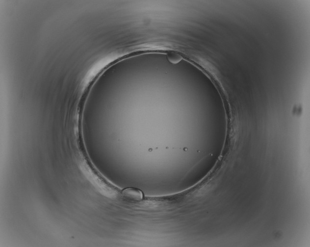 X0000110971179200906191328