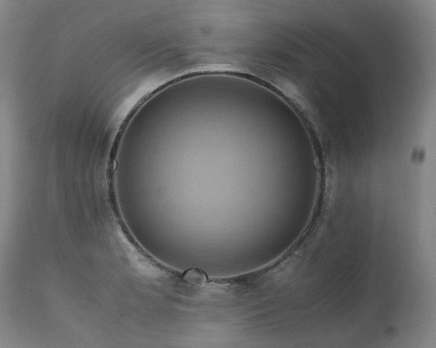 X0000110971181200906191328