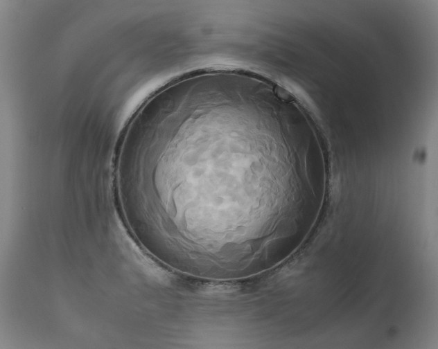 X0000110971183200906191328