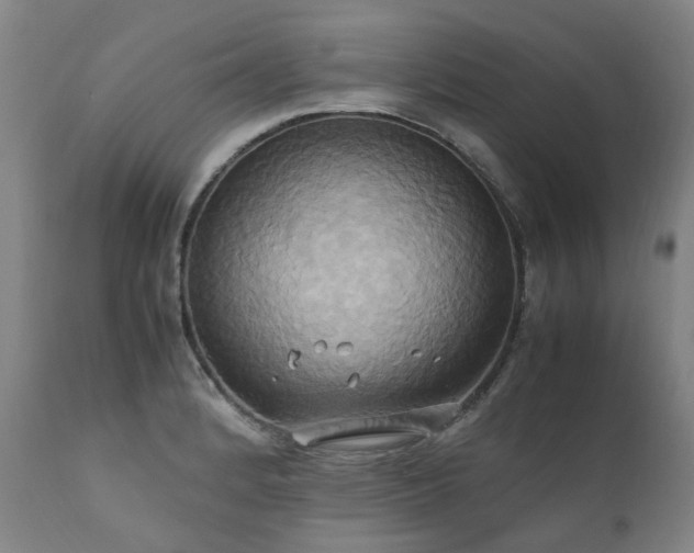 X0000110971184200906191328