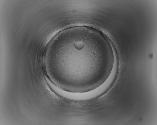 X0000110971185200906191328